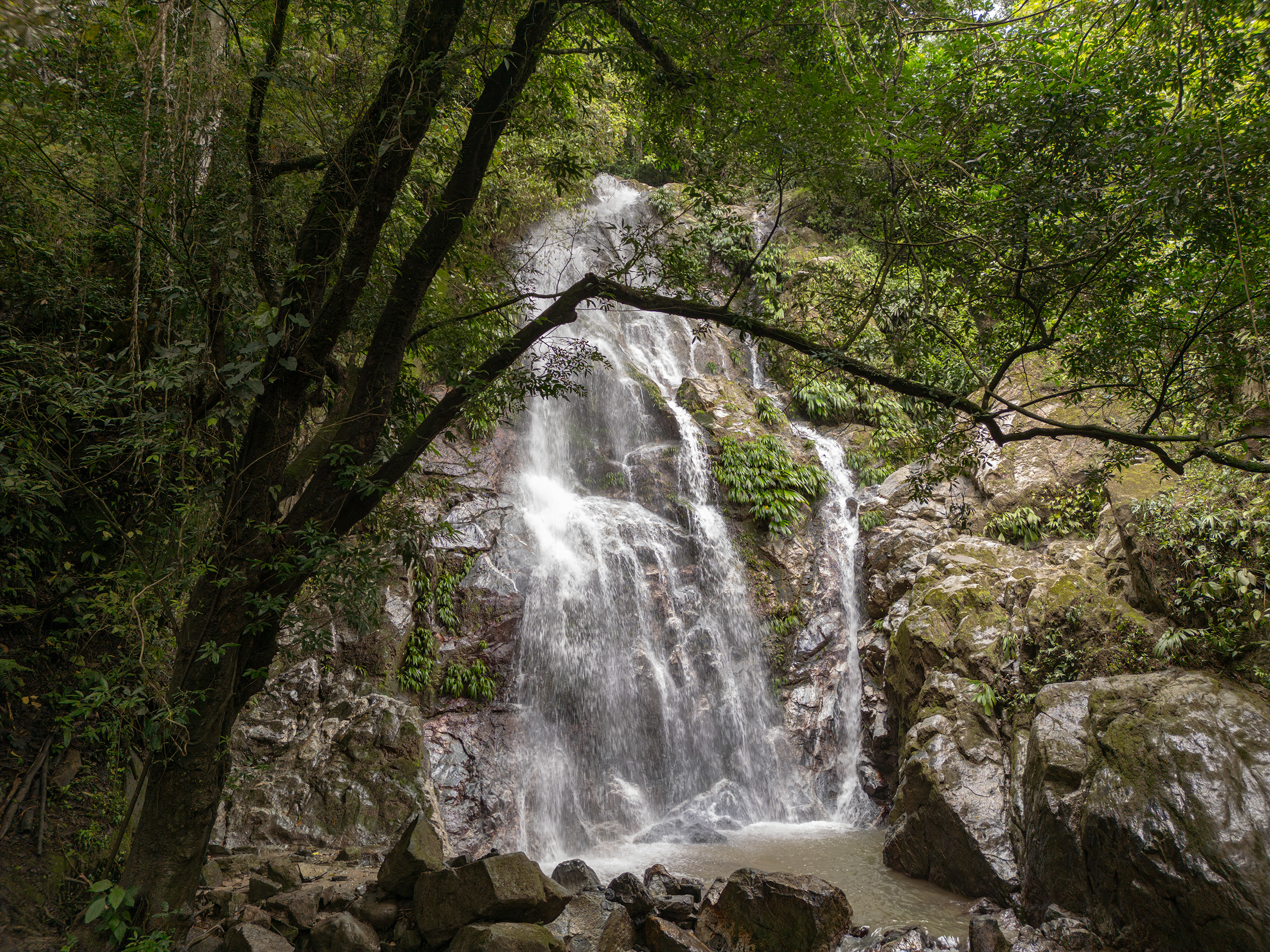 Tour 3 Cascadas y Taller de Cacao