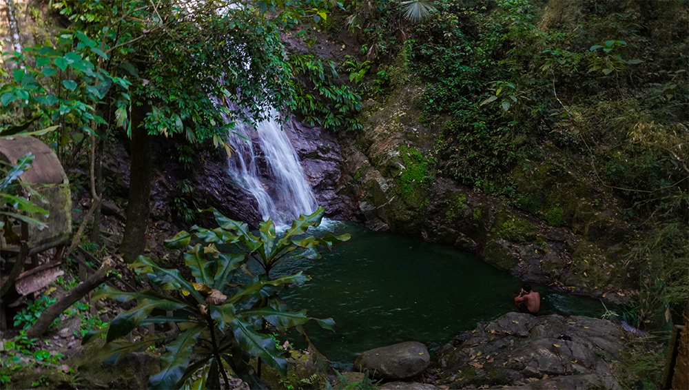 Tour Cascada Escondida, Taller de Cacao y Mirador