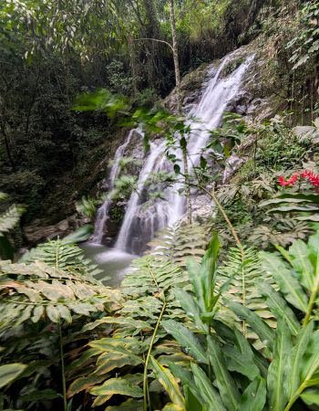CASCADA MARINKA Y HOSTEL SIERRA MINCA 6