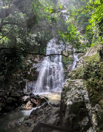 CASCADA MARINKA Y HOSTEL SIERRA MINCA 7