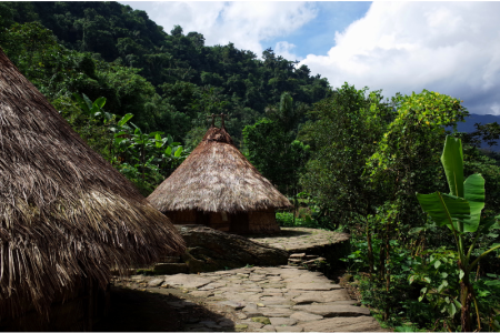 Ciudad-Perdida- (2)