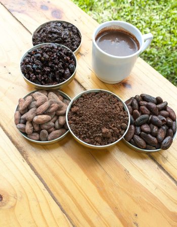 Taller-de-cacao (5)