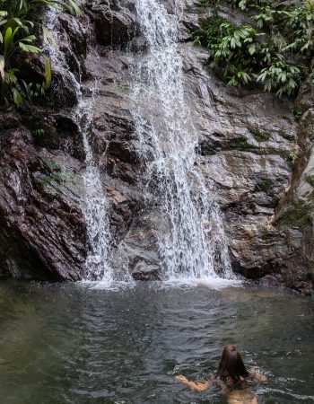 Tour-Café-Cacao-Cascada-Escondida