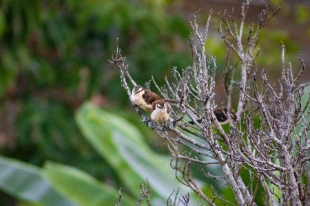 Tour-de-los-cantos (5)