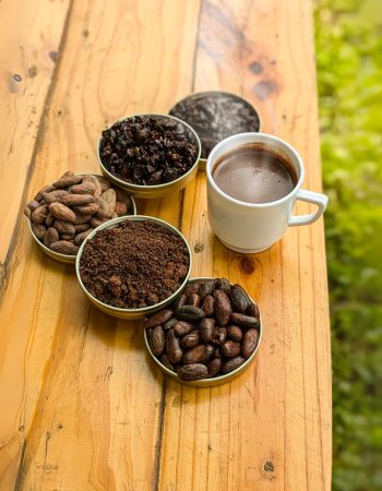 Diseño sin título - 2